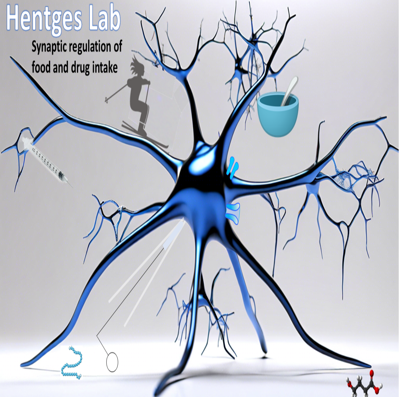 HentgesLab